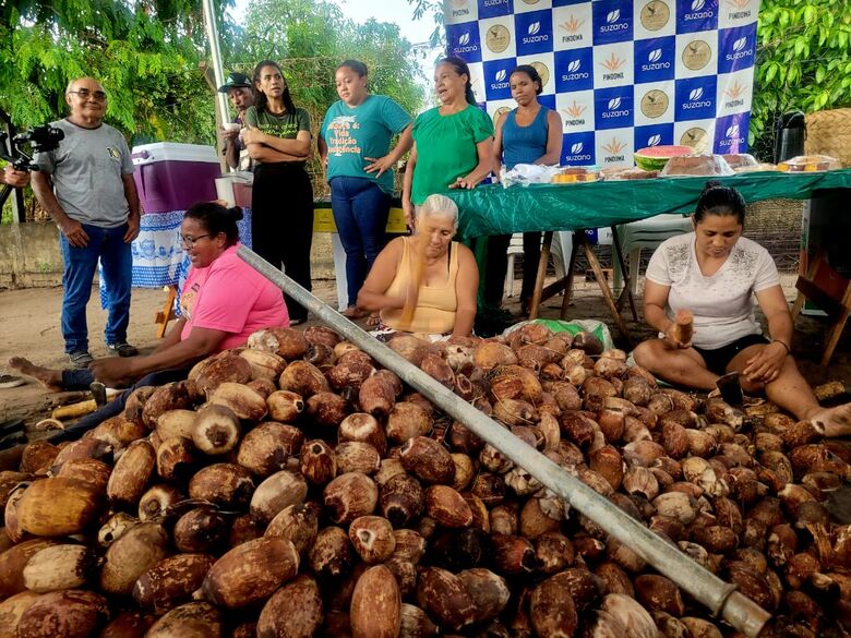 Em Imperatriz-MA, quebradeiras de coco mantêm tradição ancestral e ganham apoio da empresa Suzano