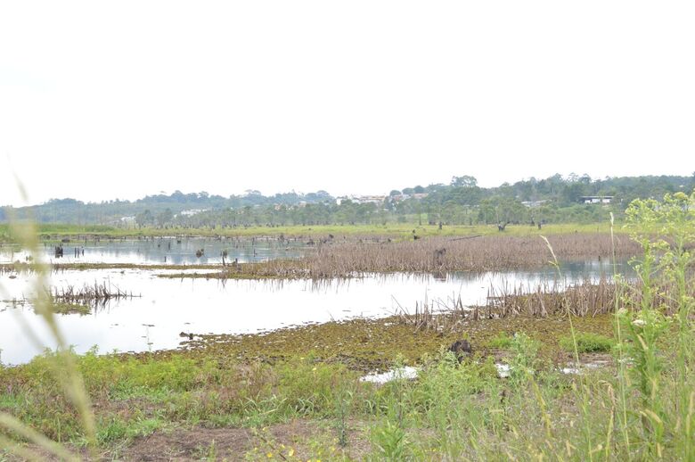 Chove menos do esperado em outubro, e represas seguem em baixa no Alto Tietê