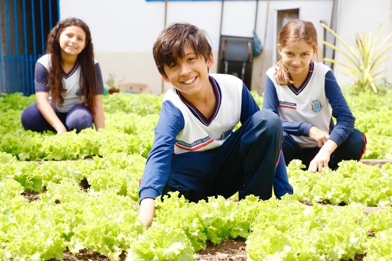Educação sustentável transforma escola de Suzano em referência ambiental e empreendedora