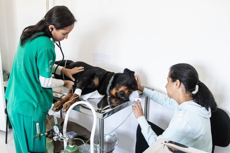 Ferraz reforça atendimento gratuito a animais realizado na clínica veterinária municipal