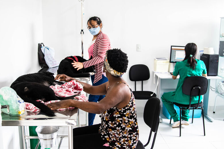 Ferraz e Mogi contam com clínicas veterinárias municipais