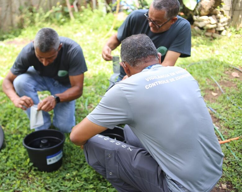 Suzano inicia instalação de armadilhas contra o mosquito da dengue