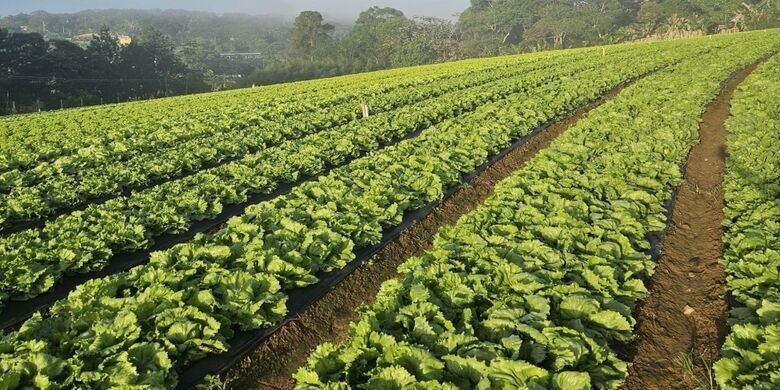 Condemat abre inscrições para capacitar agricultores da região