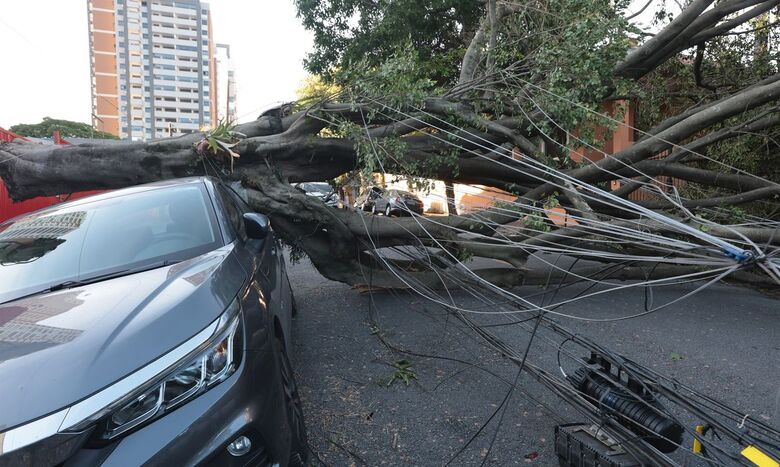 Capital paulista foi a mais atingida por forte ventania