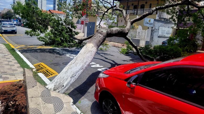 Rajadas de vento causadas por ciclone extratropical provocam caos no Alto Tietê