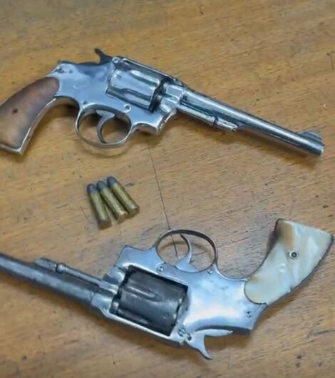 duas armas de fogo foram apreendidas