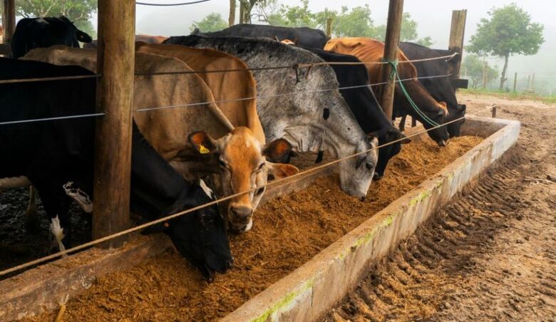 Região tem 5 Cadeias Produtivas em edital do SP Produz e pode receber até R$ 3 mi em investimentos