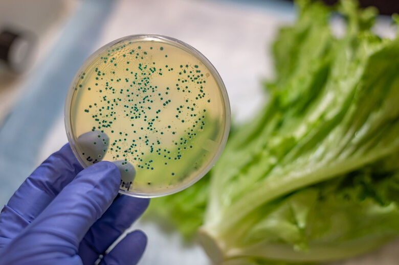 Águas e alimentos contaminados infectam 96 pessoas no Alto Tietê 