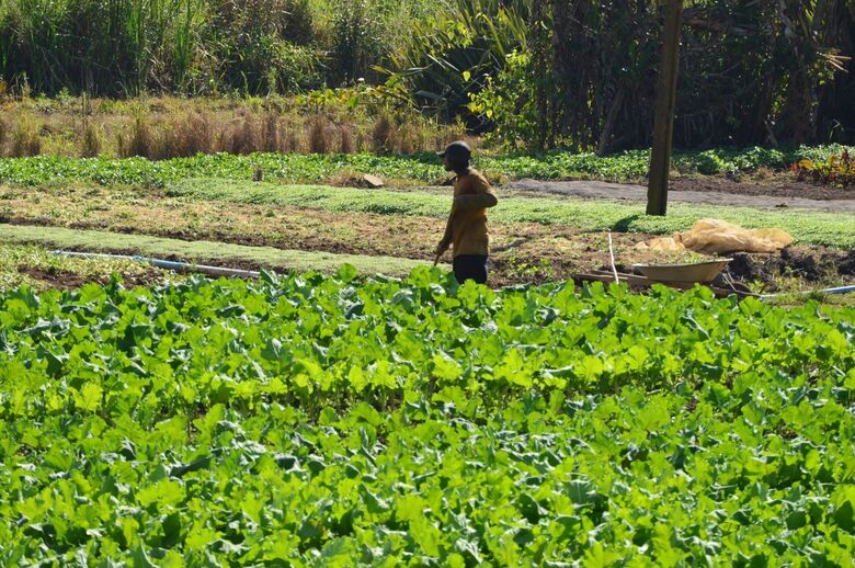 Agricultura terá investimentos
