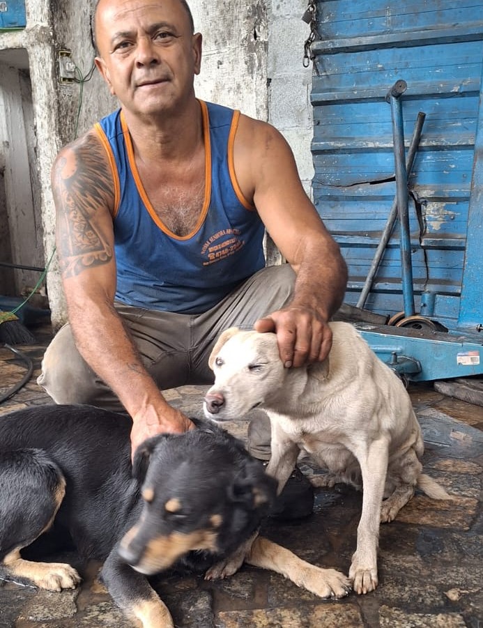 Homem de caiaque ajuda a resgatar quatro cães durante enchente em Suzano