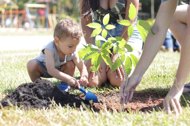 Meio Ambiente abre inscrições para novo mutirão de plantio de árvores 