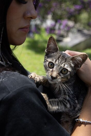 Itaquá registra 37 adoções de cães e gatos em 2026