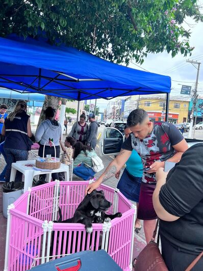 Ação gratuita acontece das 10h às 14h, na Praça da Bíblia, sem necessidade de agendamento prévio