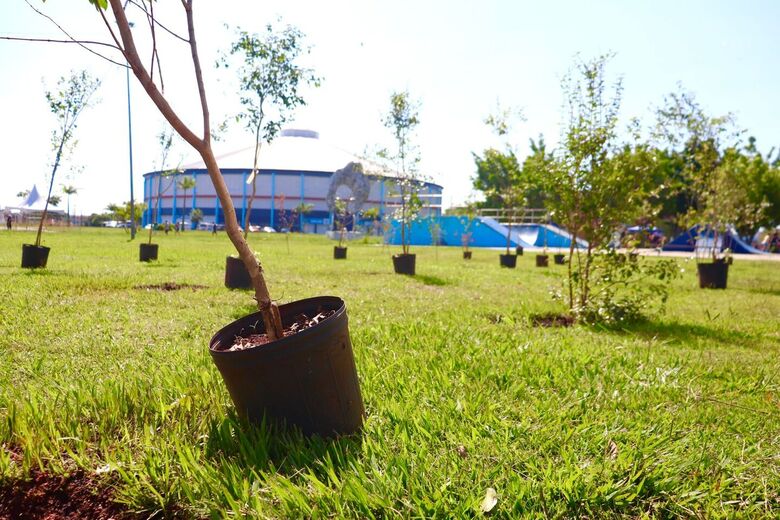 Evento resultou no plantio de 50 pitangueiras