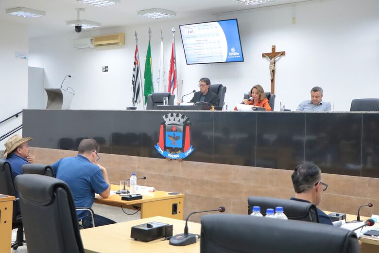 Balanço foi divulgado durante audiência pública na Câmara de Suzano