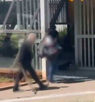 Nas imagens é possível vê-lo caminhando com o bastão até um cachorro que estava deitado na sombra