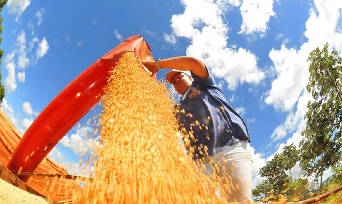 Altas foram de 0,2% na agropecuária e 1,2% na indústria, diz BC