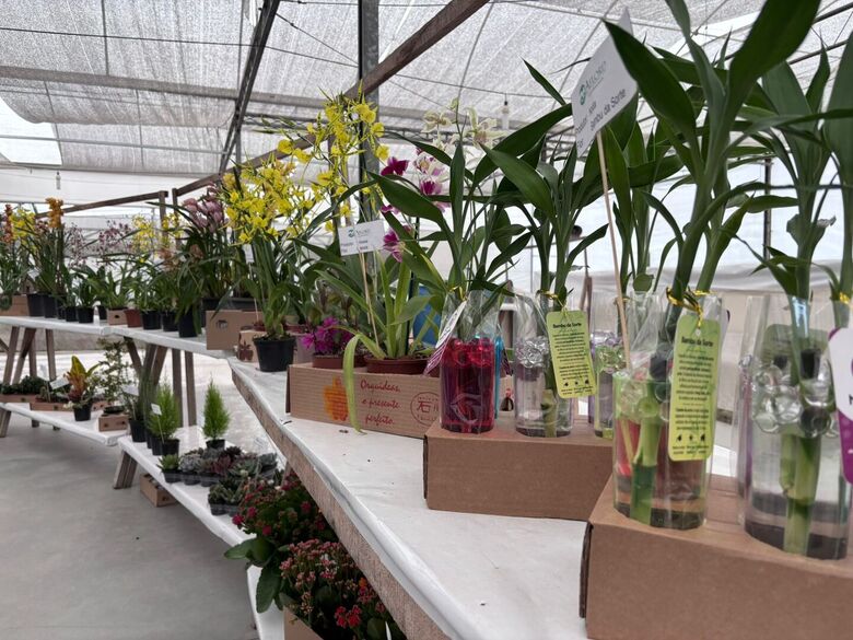 Iniciativa da Aflord, com apoio do Condemat+, marca início de novo ciclo para o turismo e desenvolvimento da região