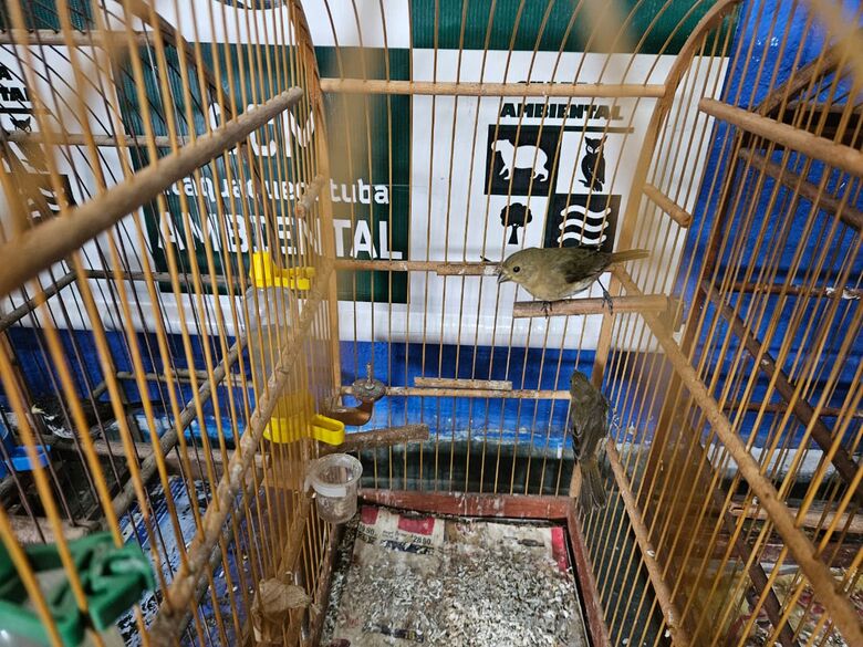 Guarda Ambiental Itaquá realiza Operação Pássaro Livre e resgata aves silvestres no Jardim do Carmo