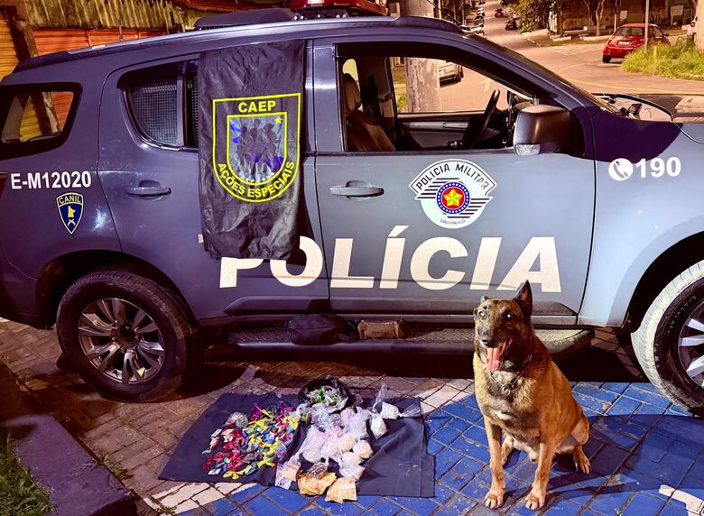 Com a ajuda do cão farejador, os policiais localizaram mais drogas escondidas em três pontos diferentes da região, incluindo áreas de vegetação. No total, foram apreendidas 164 porções de maconha, 816 de cocaína, 224 de crack e R$ 264 em dinheiro