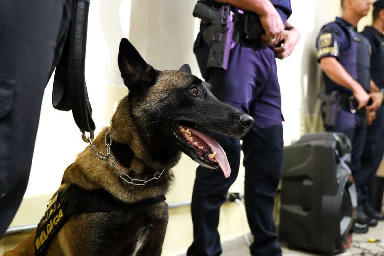 Além de apresentar o trabalho do canil, a equipe da GCM aproveitou a oportunidade para falar sobre as diversas frentes de atuação da corporação 