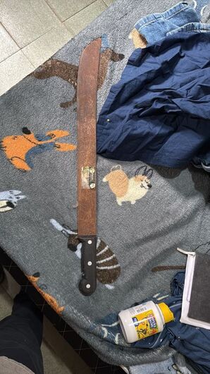 Foi cumprido um mandado de busca e apreensão na residência da suspeita e, durante a ação, foram apreendidos um facão e o celular da investigada