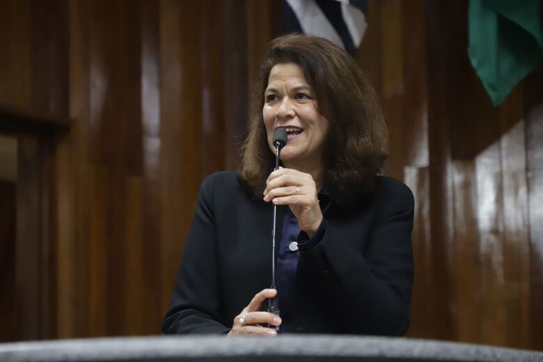 Projeto é de autoria da vereadora Priscila Yamagami