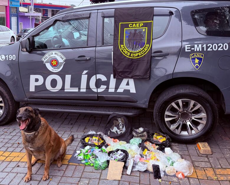 Cão policial Draco localizou as drogas escondidas no local