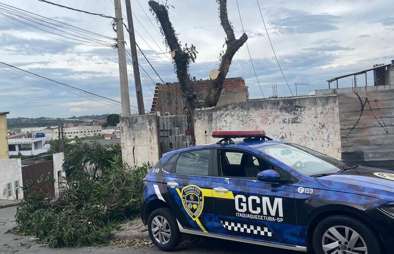Durante a fiscalização, os agentes constataram a prática de supressão vegetal sem autorização, configurando infração ambiental conforme prevê a legislação.
