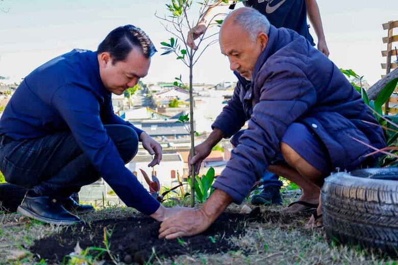 Iniciativa leva mudas até os bairros com o objetivo de promover a arborização urbana