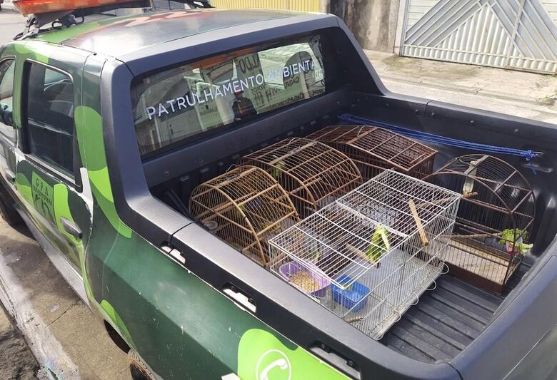 O Grupamento de Proteção Animal (GPA), da Guarda Civil Municipal (GCM) de Suzano, promoveu o resgate de três canários-da-terra e um galo-da-campina que estavam sendo mantidos em cativeiro