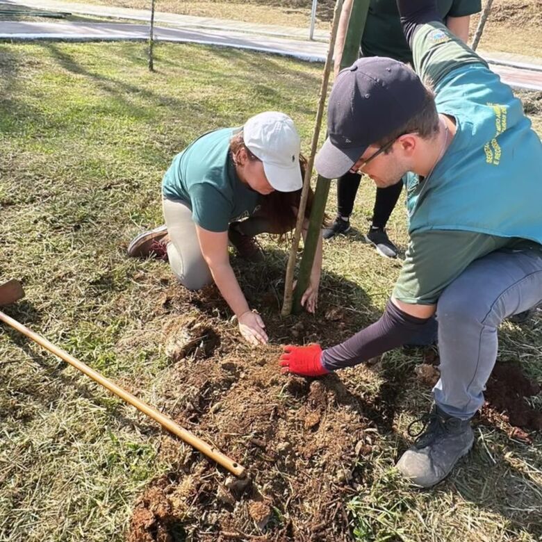 Poá realiza audiência para discutir planos de arborização urbana e conservação da Mata Atlântica