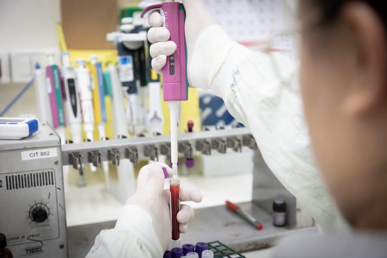 No estado de São Paulo, casos suspeitos de ebola devem ser comunicados imediatamente à vigilância epidemiológica municipal e ao Centro de Vigilância Epidemiológica do Estado de São Paulo (CVE-SP)