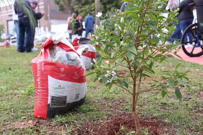 Plantio de 45 árvores da espécie manacá-da-serra em uma praça localizada na rua Rio Grande do Norte, no bairro Jardim Colorado