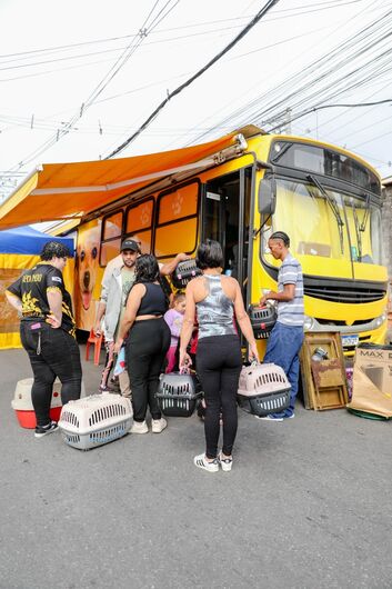  Secretaria de Meio Ambiente, Verde e Proteção Animal promoveu 252 castrações de cães e gatos