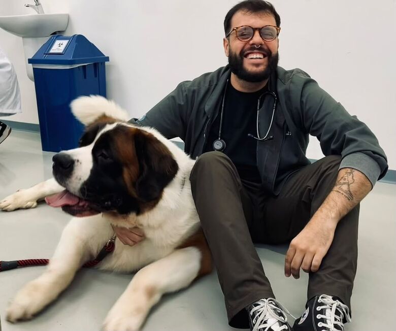 Pets precisam de cuidados especiais para evitar estresse em dias de jogos da Copa do Mundo