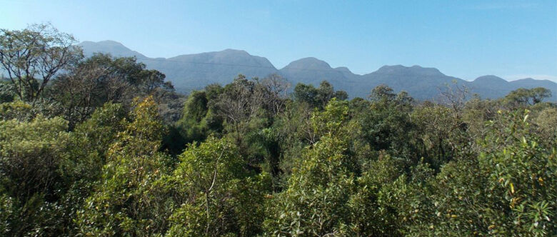 Alto Tietê Possui 52,3 mil hectares de Mata Atlântica; monitoramento de conservação é feito desde 1990 
