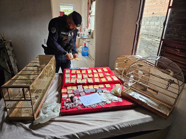 GCM de Itaquá apreende mais de 4 mil drogas em quatro dias de operação