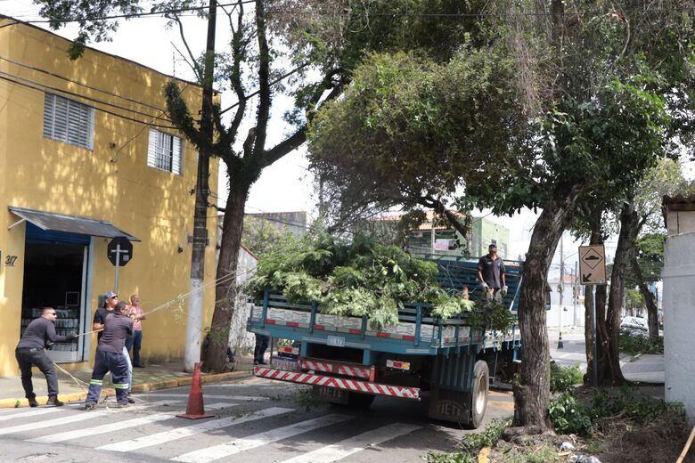 Secretaria de Manutenção realiza mais de 35 mil ações de zeladoria em seis meses