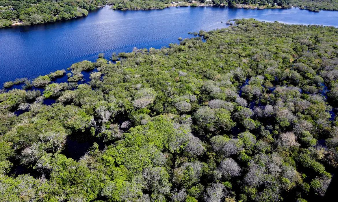 Queda nos avisos ocorre em relação ao mesmo mês do ano passado