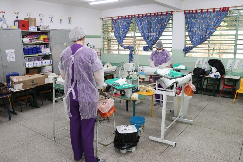 Meio Ambiente registra média mensal de 155 cães e gatos castrados no 1ª semestre