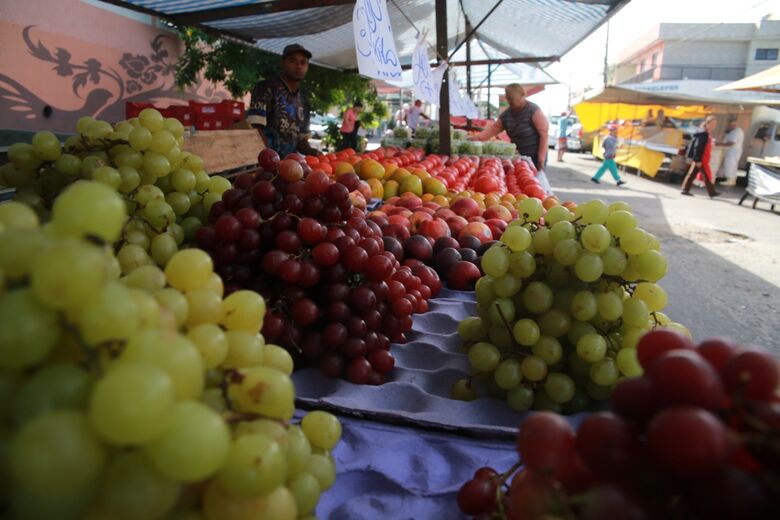 Cinco endereços comercializam alimentos cultivados por meio de práticas sustentáveis e sem a utilização de agrotóxicos