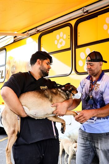 Mutirão gratuito de castração de cães e gatos ocorre do dia 24 a 26 de julho