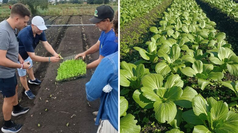 Projetos desenvolvidos em parceria com associações e organizações locais apoiam agricultores familiares, ampliam oportunidades de comercialização e fortalecem cadeias produtivas no estado