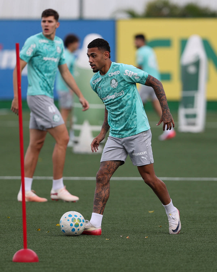 Palmeiras Enfrenta o Internacional no domingo