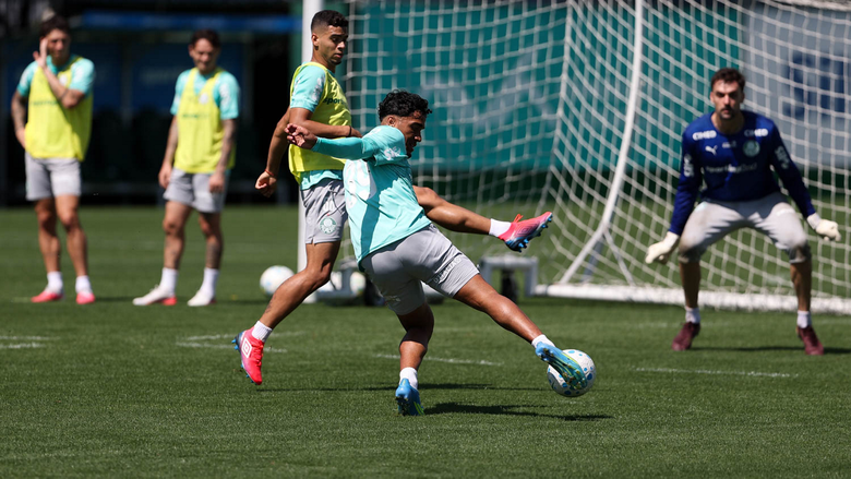 PALMEIRAS Enfrenta o Mirassol em jogo difícil fora de casa