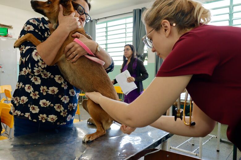 Ação realizada no último sábado (08/08) na Escola Municipal Professor Damásio Ferreira dos Santos contemplou 82 cães e 66 gatos
