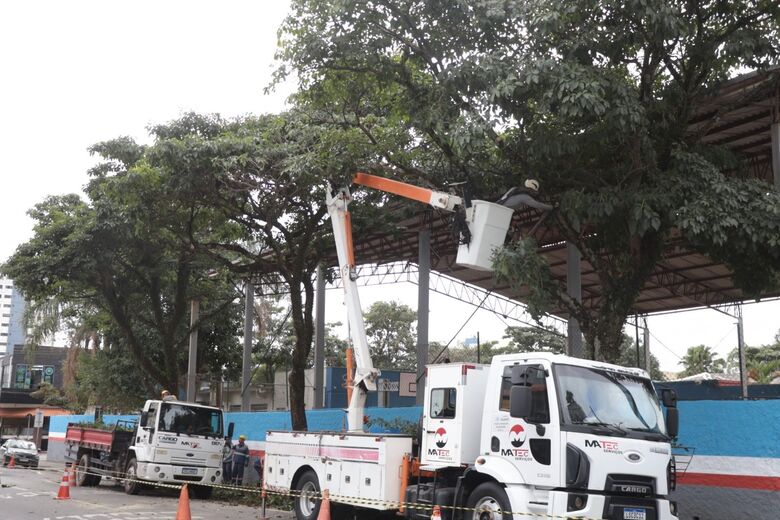 Equipes atuam de forma preventiva para evitar problemas nas vias e comprometimento da rede elétrica
