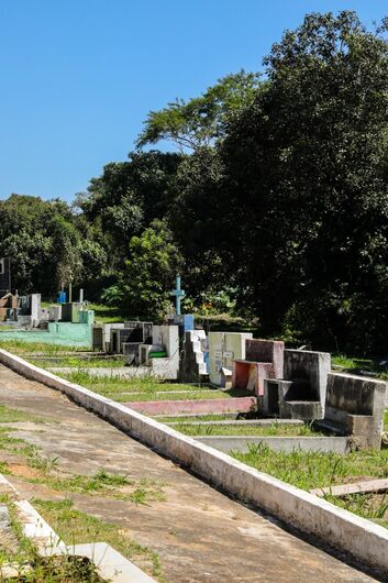 Familiares que desejarem realizar a transferência dos restos mortais devem formalizar o pedido até 10 de agosto