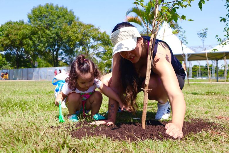 'Árvore FamiliAR' abre inscrições para nova edição no Parque Max Feffer